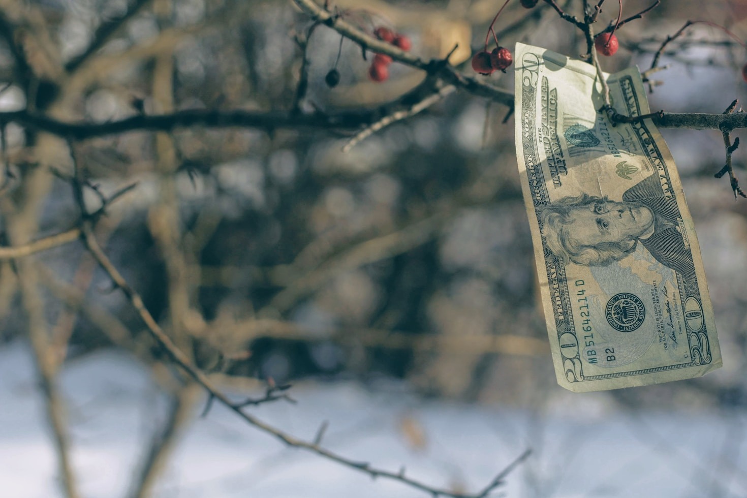 Navigating Niche Markets with Confidence